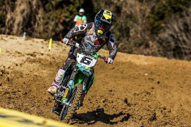 松木 紗子:GALLERY