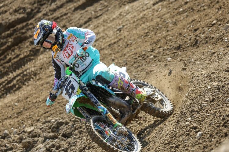 松木 紗子:GALLERY