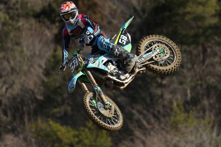 今岡 駿太：GALLERY